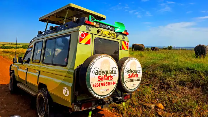 Kenya Safari - Wildlife tour