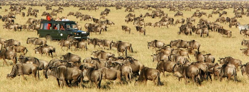 Mount Kenya - Adventure tour